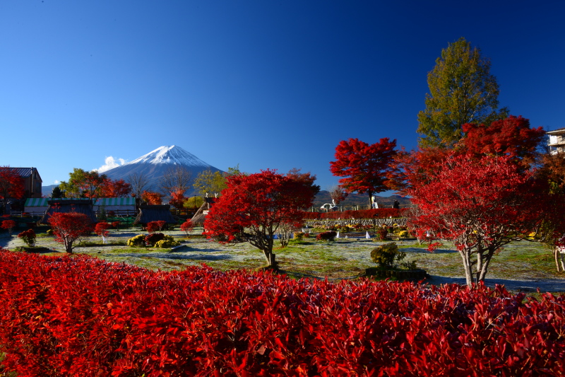 富士山画像記録