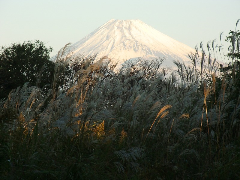 富士山画像作品