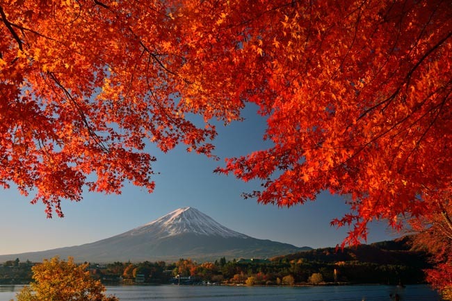 富士山画像作品