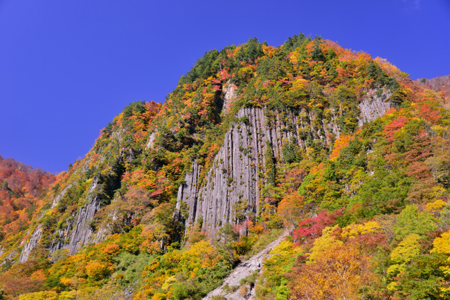 富士山画像作品