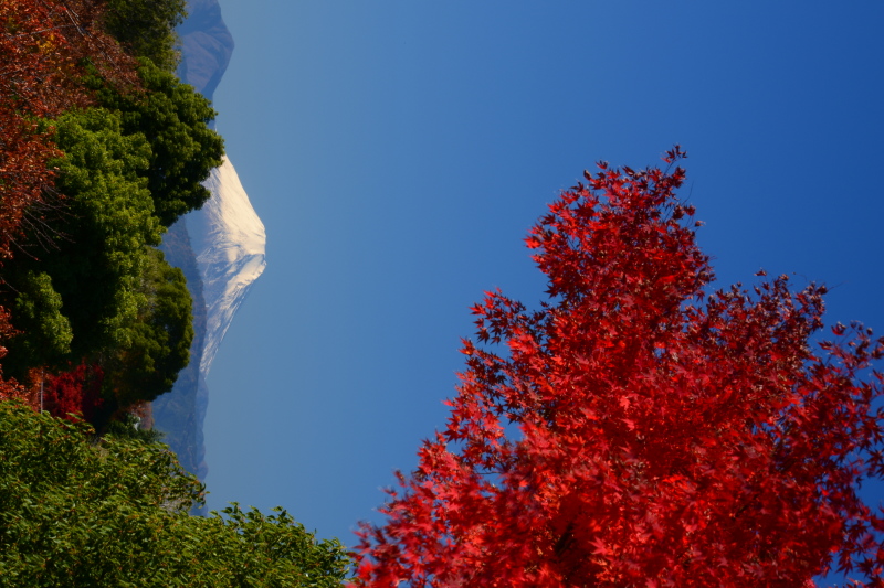 富士山画像記録