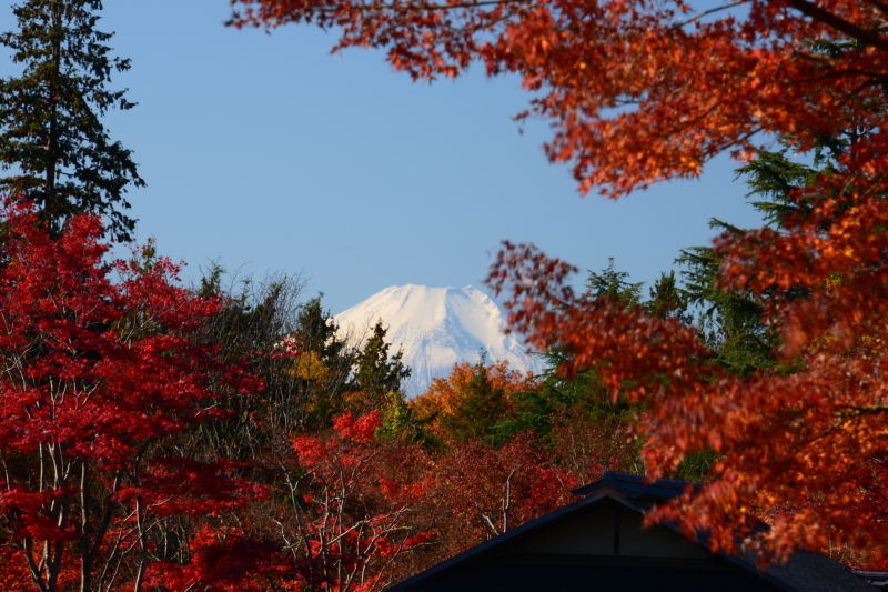 富士山画像記録