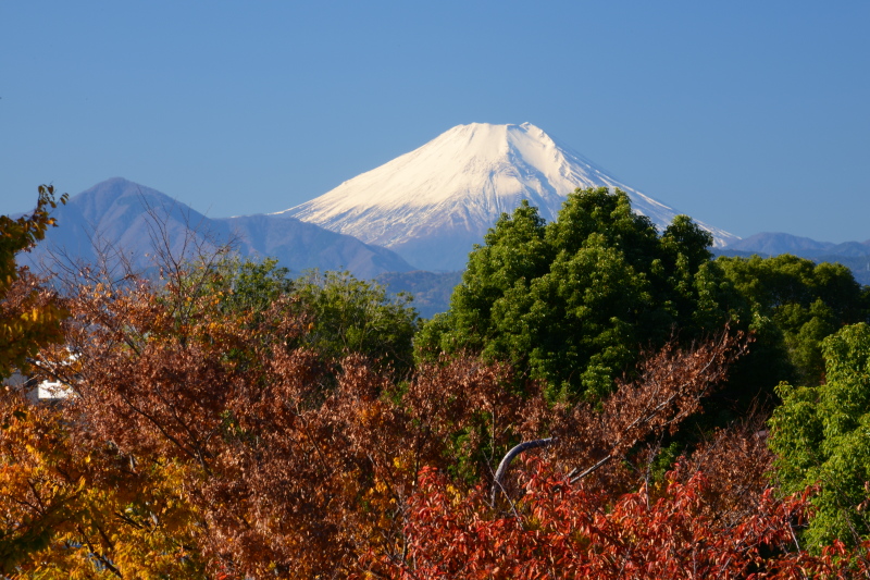 富士山画像記録