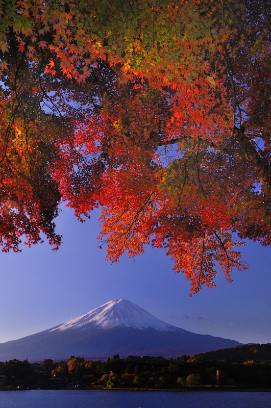 富士山画像作品