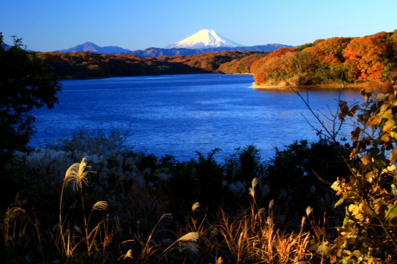 富士山画像記録