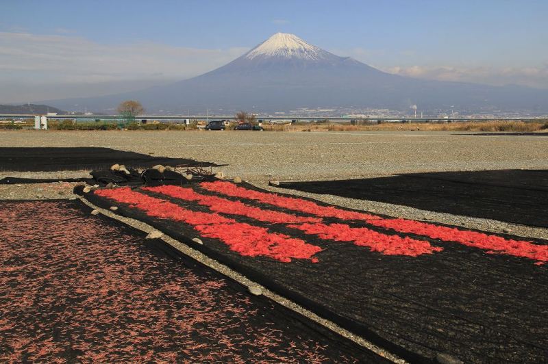 富士山画像記録