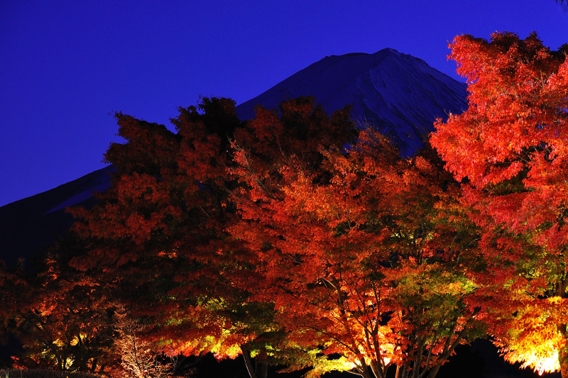 富士山画像作品