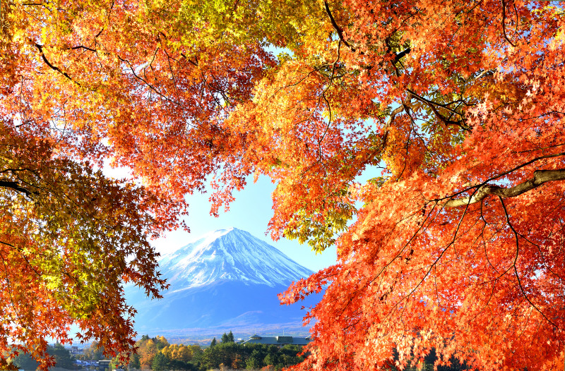 富士山画像作品