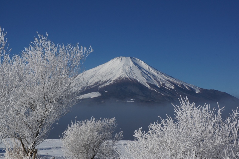 富士山画像記録