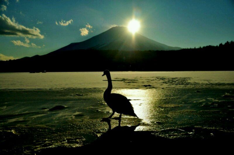 富士山画像記録