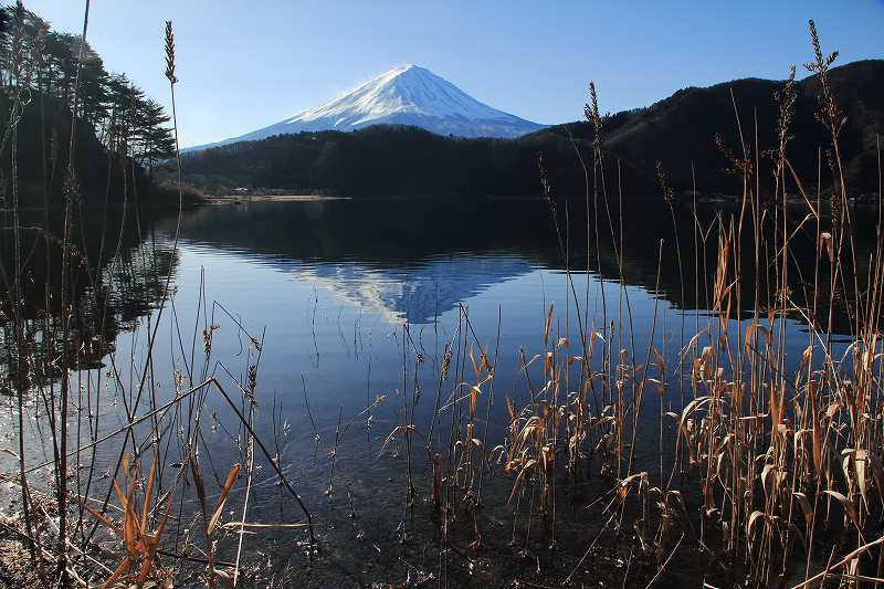 富士山画像記録