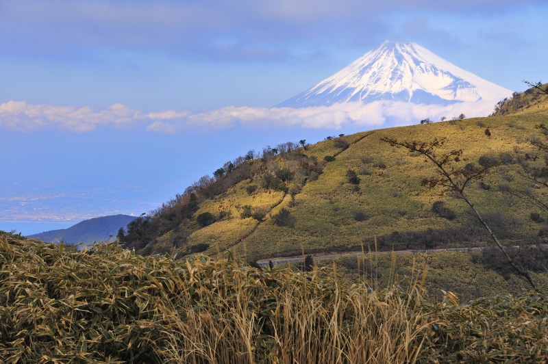 富士山画像作品