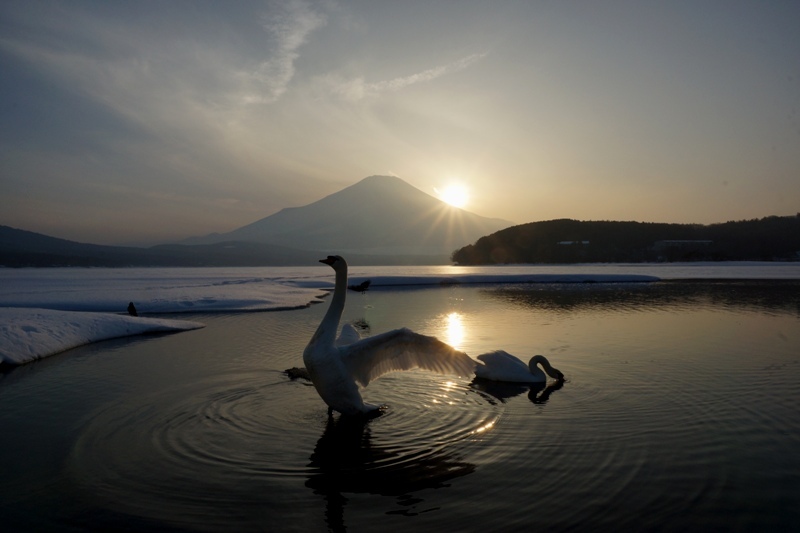 富士山画像記録