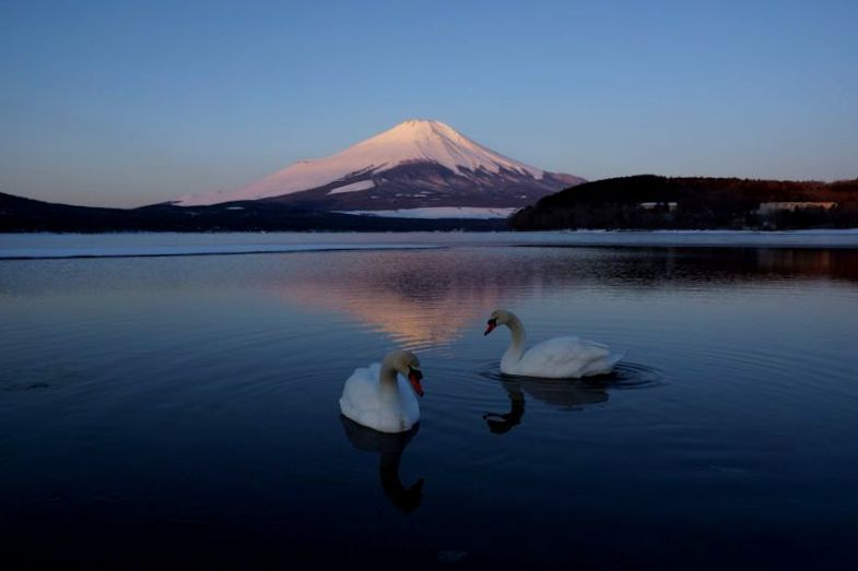 富士山画像記録