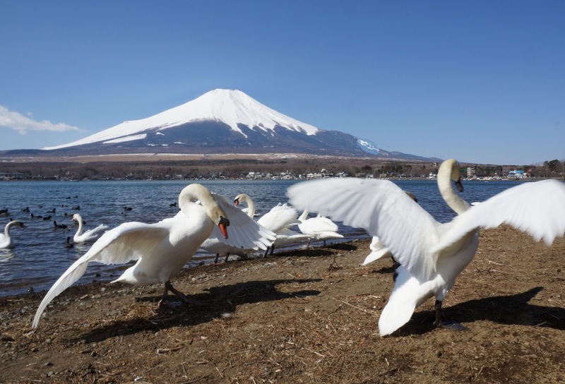 富士山画像記録