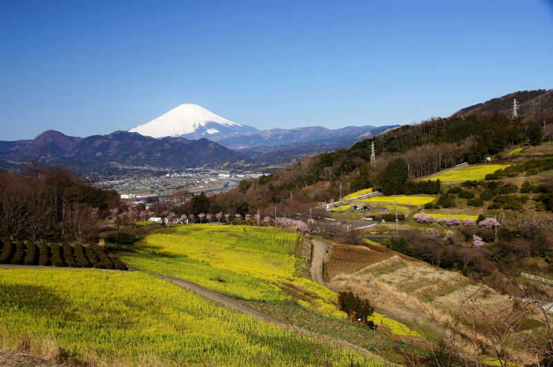 富士山画像作品