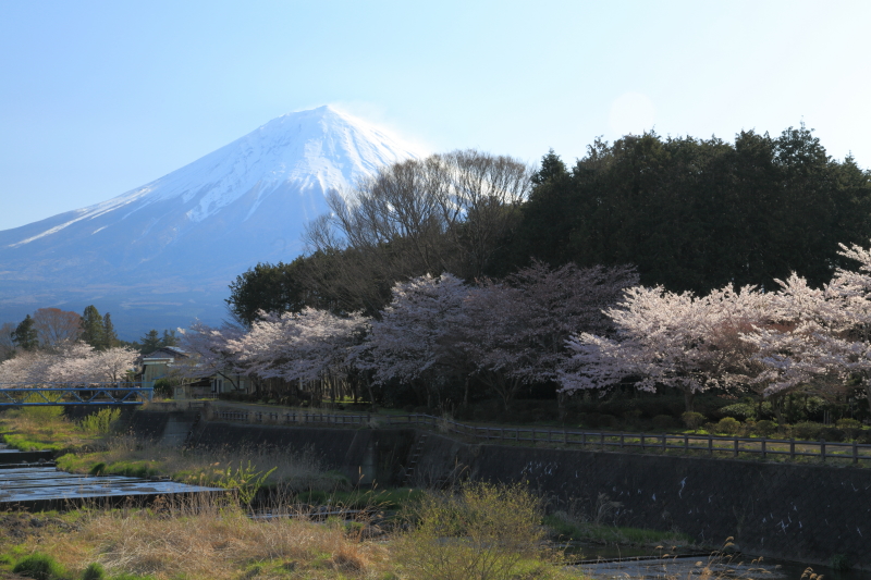 富士山画像作品