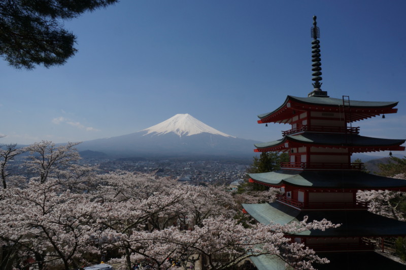 富士山画像記録