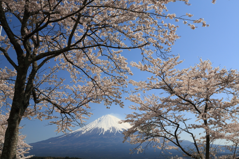 富士山画像作品