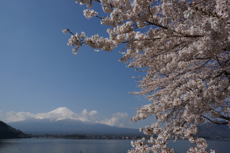 富士山画像記録