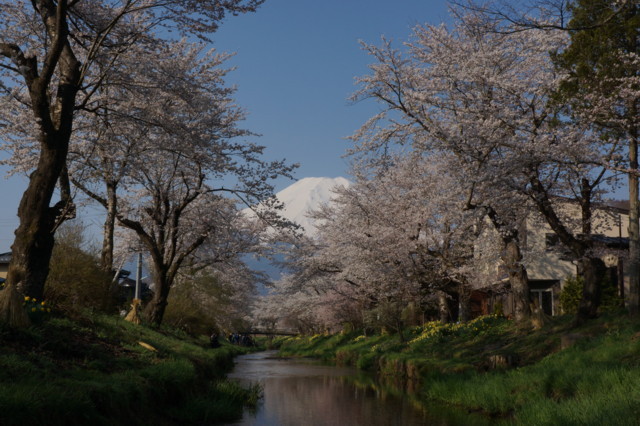 富士山画像記録