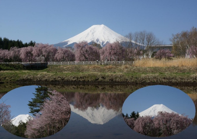 富士山画像記録