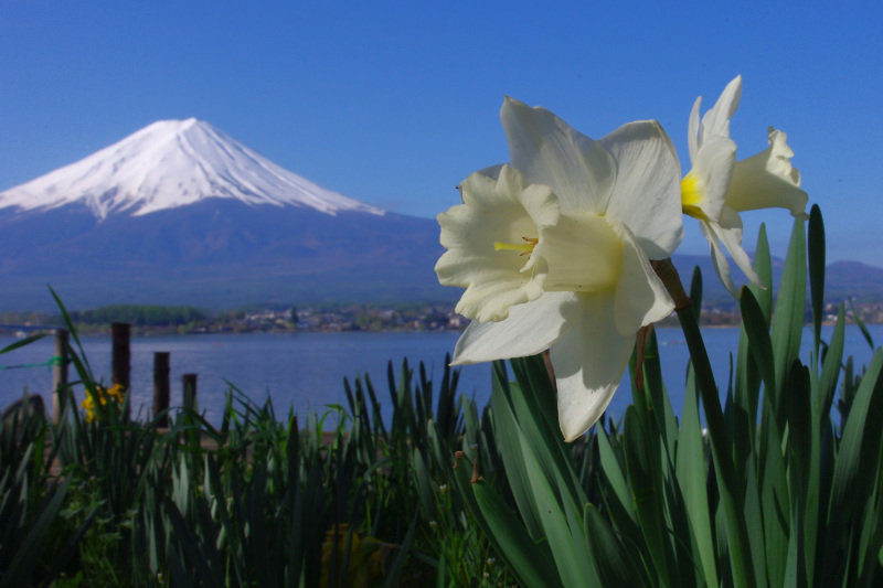 富士山画像作品