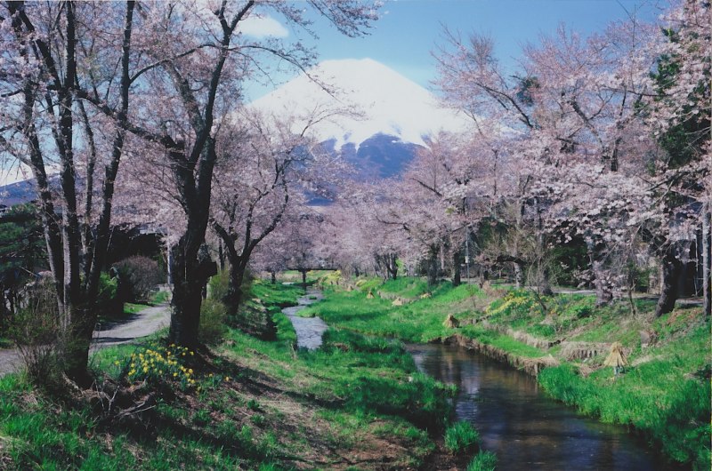 富士山画像作品