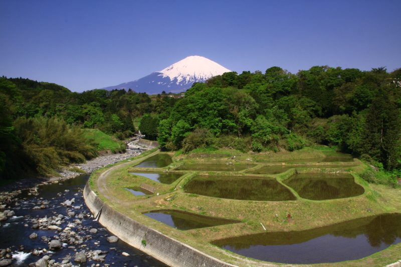 富士山画像作品