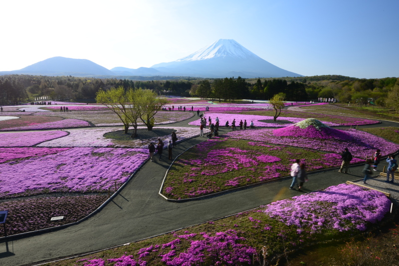 富士山画像記録