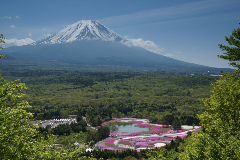 富士山画像記録