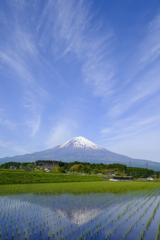 富士山画像作品