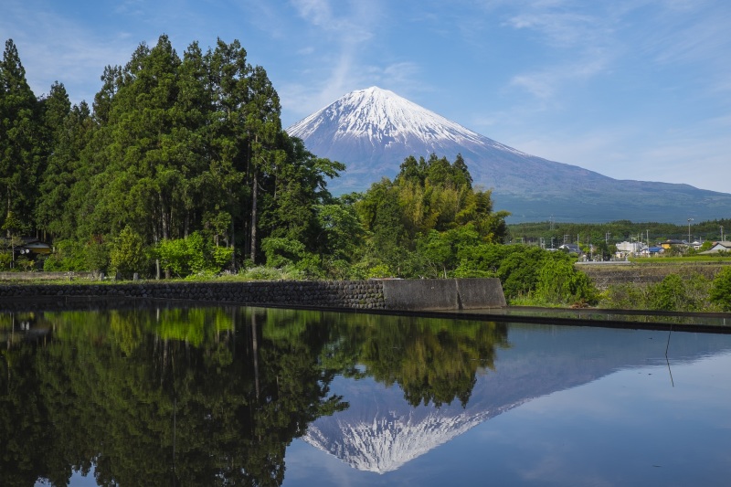 富士山画像作品