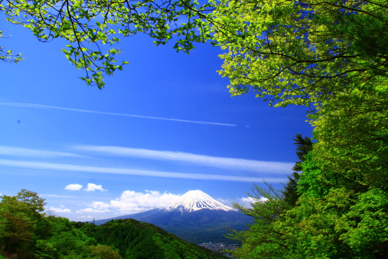 富士山画像作品