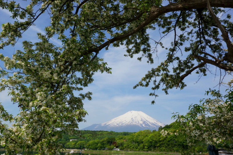 富士山画像記録