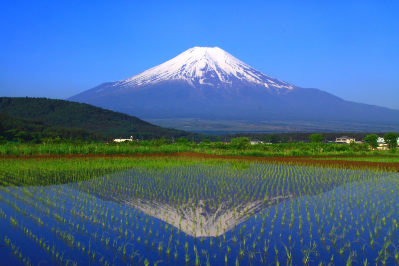 富士山画像記録