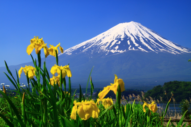 富士山画像記録