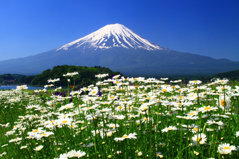 富士山画像記録