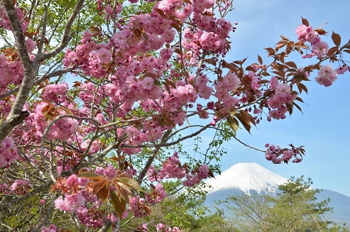 富士山画像作品