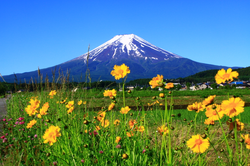 富士山画像記録