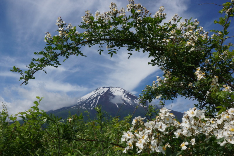 富士山画像記録