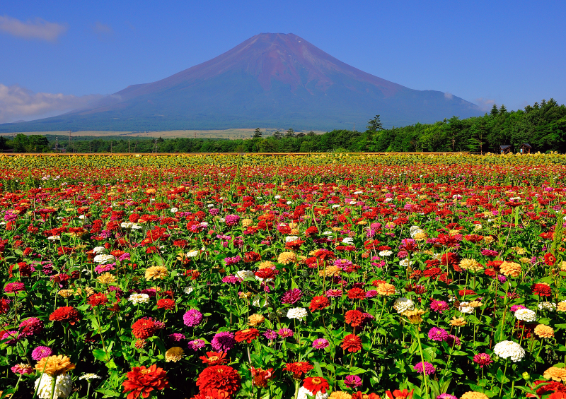 富士山画像作品