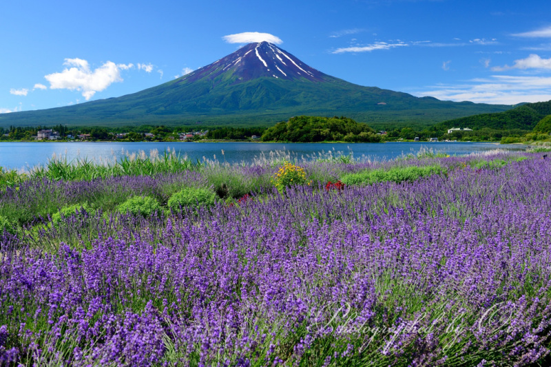 富士山画像記録