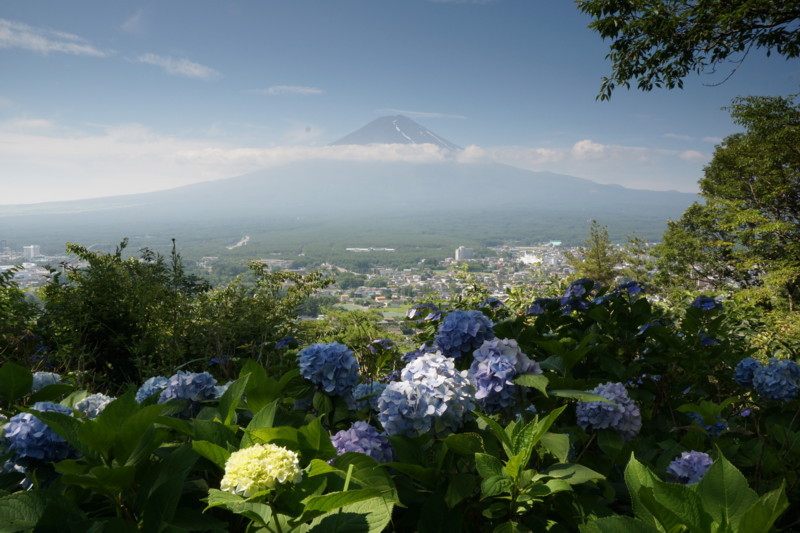 富士山画像記録