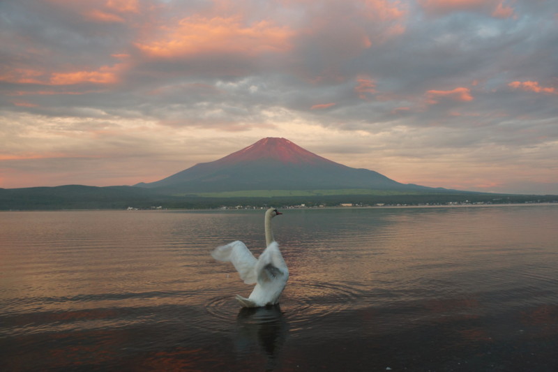 富士山画像記録