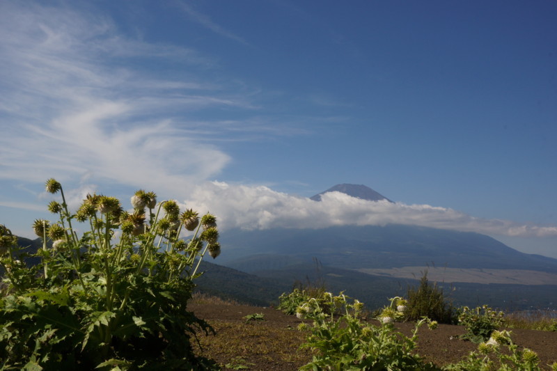 富士山画像記録