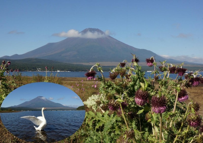 富士山画像記録