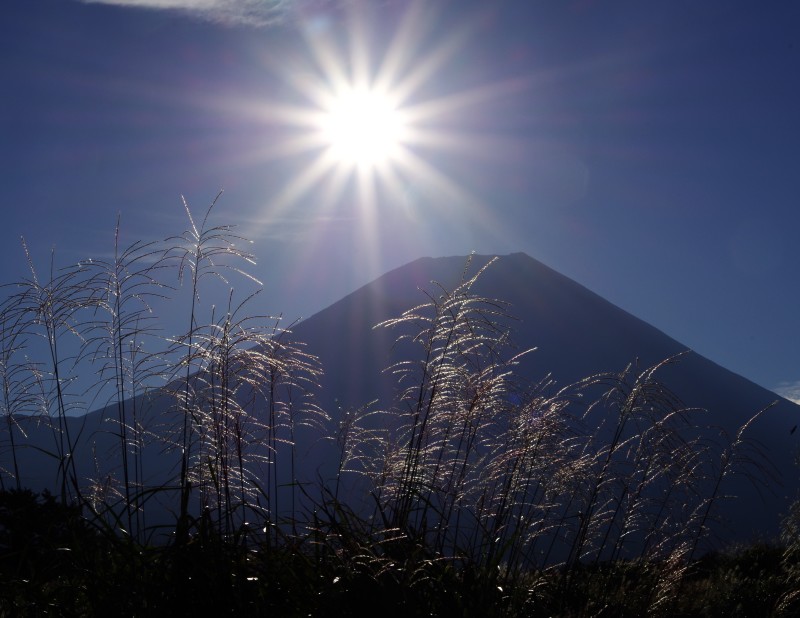 富士山画像作品