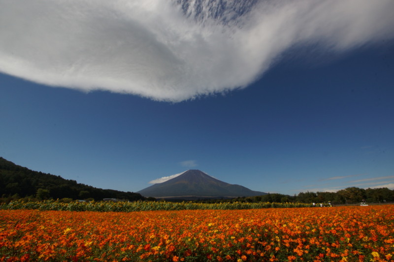 富士山画像記録