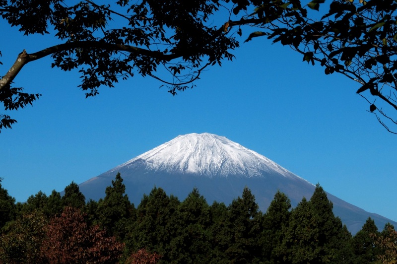 富士山画像作品